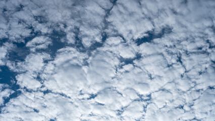 High resolution wallpaper with the concept of Cirrocumulus clouds in the morning with a clear blue sky. Nature and sky themed background concept