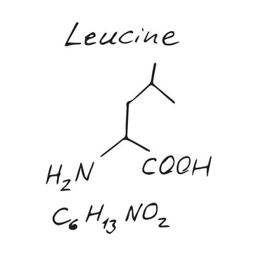 Leucine C6H13NO2 molecule formula. Hand drawn imitation of leucine structural model