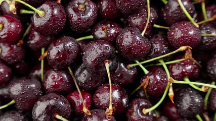 Ripe red cherries rotate. Fresh sweet berries. Appetizing scene. Healthy nutrition. Tasty cherry. Food for dietary, medicinal plant. Vegan food. Concept of fresh fruit rich in antioxidants. Close-up