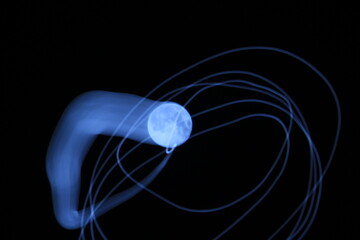 満月　月の軌跡