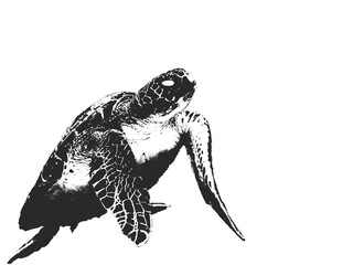 ウミガメのpng