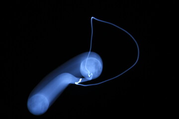 満月　月の軌跡