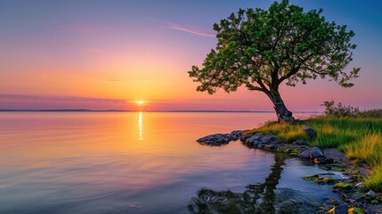 Free good morning scene wallpaper background photo