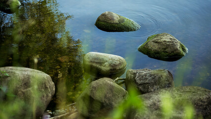 The rocks on the lake shore are covered with algae