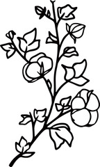 cotton plant line illustration design