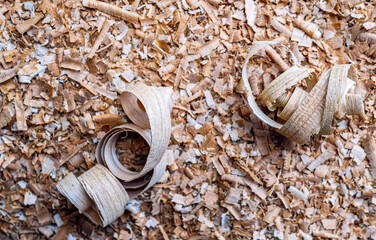 Wood shavings against the background of other shavings and sawdust, Top view above