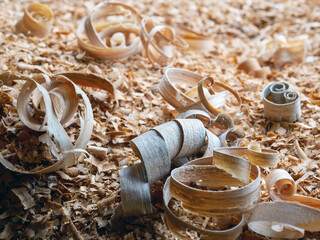 Wood shavings close-up against the background of other shavings and sawdust.