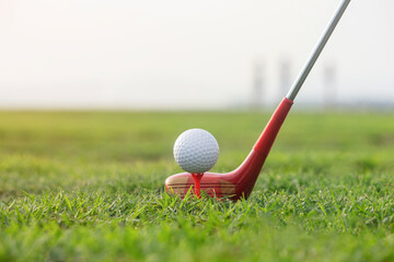 Golf clubs and golf balls on a green lawn in a beautiful golf course