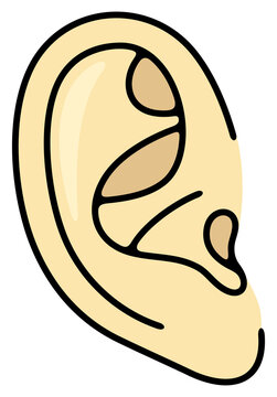 recommend clip art: Ear, earlap, listening and listen. Sense organs, hearing, sound and hear, illustration