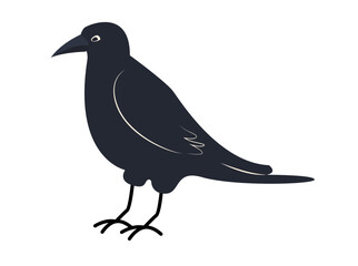 Black Crow illustration on white isolated vector. Flat simple.