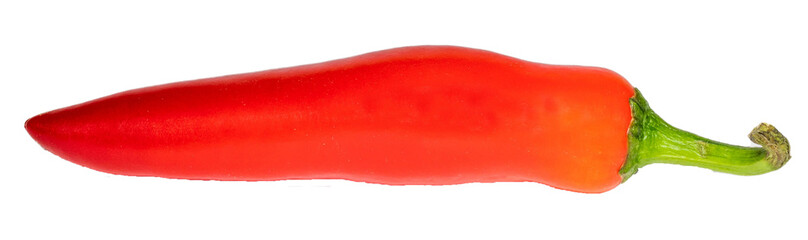 Red chilli with transparent background 