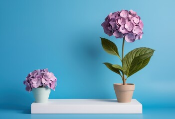 purple orchid in a vase