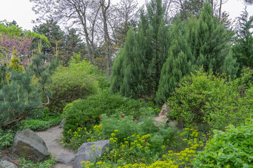 Composition of coniferous and deciduous plants in botanical garden. Landscape and garden design. Decorative pine trees and colorful bushes in park. Cozy corner with various nature. Horticulture.