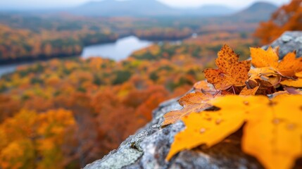 A close-up of vibrant orange and yellow autumn leaves resting on a rocky overlook with a stunning view of a distant water body and colorful forest landscape in the background.