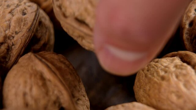 Chef hand makes a organic whole walnut in a nutshell from a pile of hard raw nuts close up. Sustainable diet ingredients