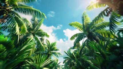Fototapeta premium Lush tropical palm trees against a bright blue sky, capturing the essence of a sunny paradise with vibrant greenery and clear skies.