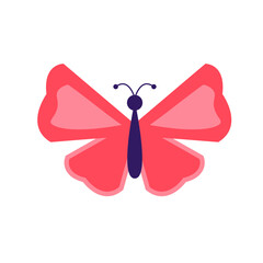 Butterfly Flat Illustration