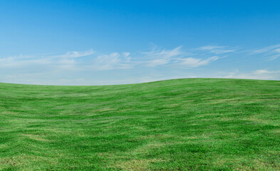 Naklejka premium Green grass field under the blue sky background