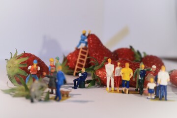 miniature photography