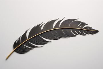 a black feather with a gold line