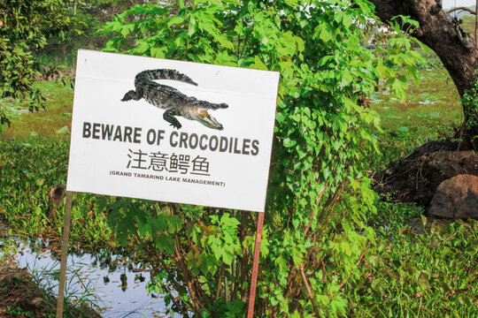 Beware of Crocodiles Sign on the edge of the Grand Tamarid River, Sri Lanka