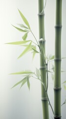 meticulously designed close-up of bamboo in light yellow and gray green soft tones UHD image