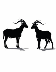 Two Goats Standing Side by Side