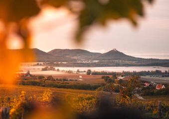 Famous Szigliget castle with vineyards in autumn