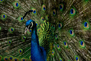 Fototapeta premium 2024-Colombie-0213