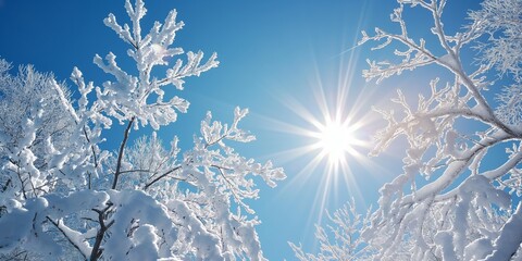 A bright sunny day with snow on the trees. The sun is shining brightly through the snow, creating a beautiful and serene atmosphere
