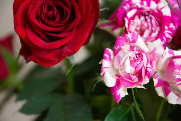 薔薇の花束