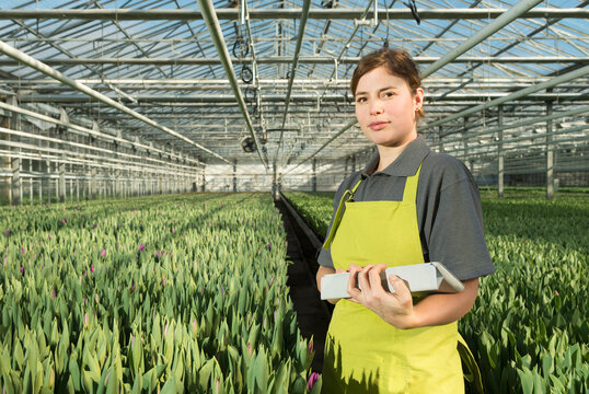 Confident farm worker holding tablet PC amidst tulips in greenhouse