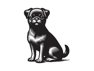 Petit Brabancon. Cute dog. Vintage black engraving illustration. Icon, logo, emblem. Isolated object. Print. 	