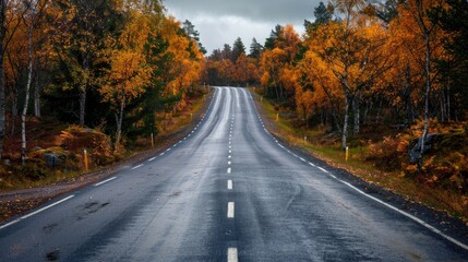 Autumn Road in Sweden. Scenic Highway Through Forest with Empty Background