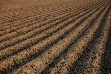Abstract Pattern of a Plowed and Prepared Field