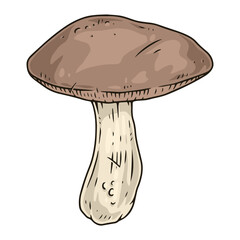 Fresh mushroom colorful detailed element