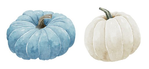 Watercolor illustration featuring blue and white pumpkin, ideal for autumn and rustic decor themes.