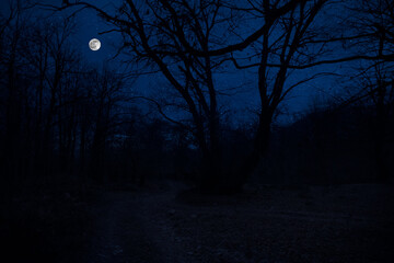 Mountain Road through the forest on a full moon night. Scenic night landscape of country road at night with large moon