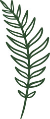 fern line illustration organic design