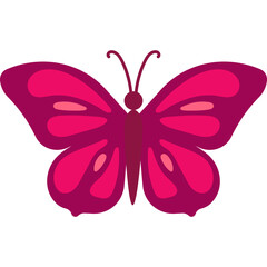 Flat Butterfly Illustration