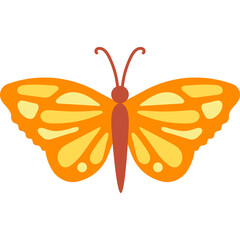 Flat Butterfly Illustration