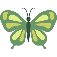 Flat Butterfly Illustration