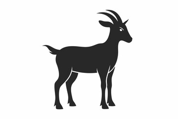 Obraz premium silhouette of a goat