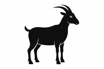 Fototapeta premium goat isolated on white