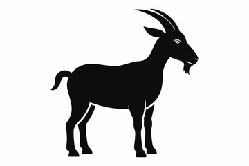 goat illustration
