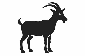 goat isolated on white