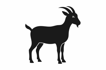 goat illustration