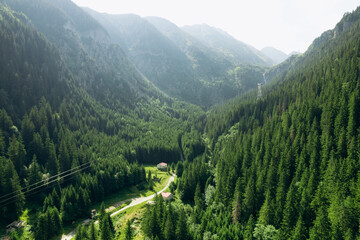Beautiful aerial summer view of the forest in the mountains and valley or hills. 