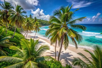 Obraz premium Palm trees sway above a pristine white sand beach, turquoise ocean waves gently lap at the shore, surrounded by lush green tropical vegetation.
