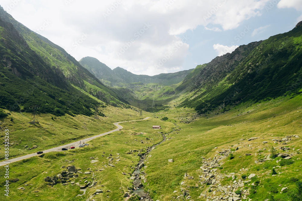 Wall mural beautiful aerial summer view of the forest in the mountains and valley or hills.